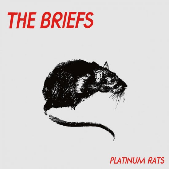 BRIEFS - platinum rats - zum Schließen ins Bild klicken
