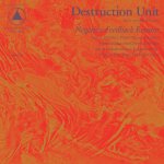 DESTRUCTION UNIT - negative feedback resistor