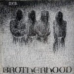 D.Y.S. - brotherhood