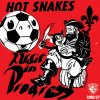 HOT SNAKES - audit in progress