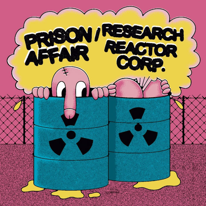 PRISON AFFAIR / RESEARCH REACTOR CORP. split